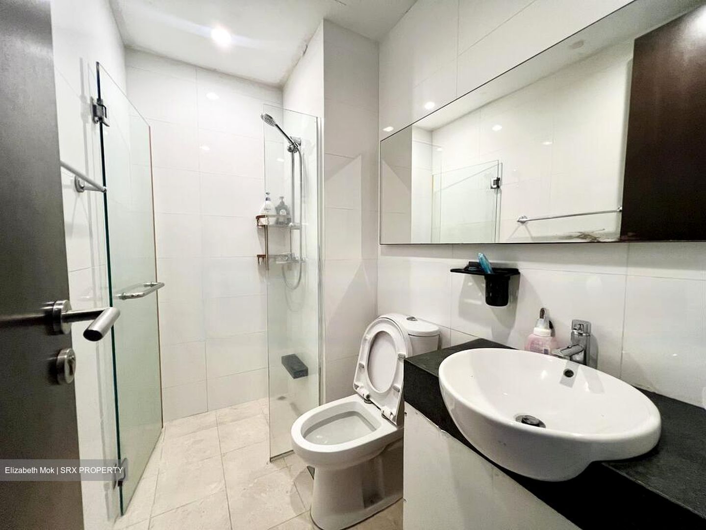 Treasure Place (D5), Condominium #499055801